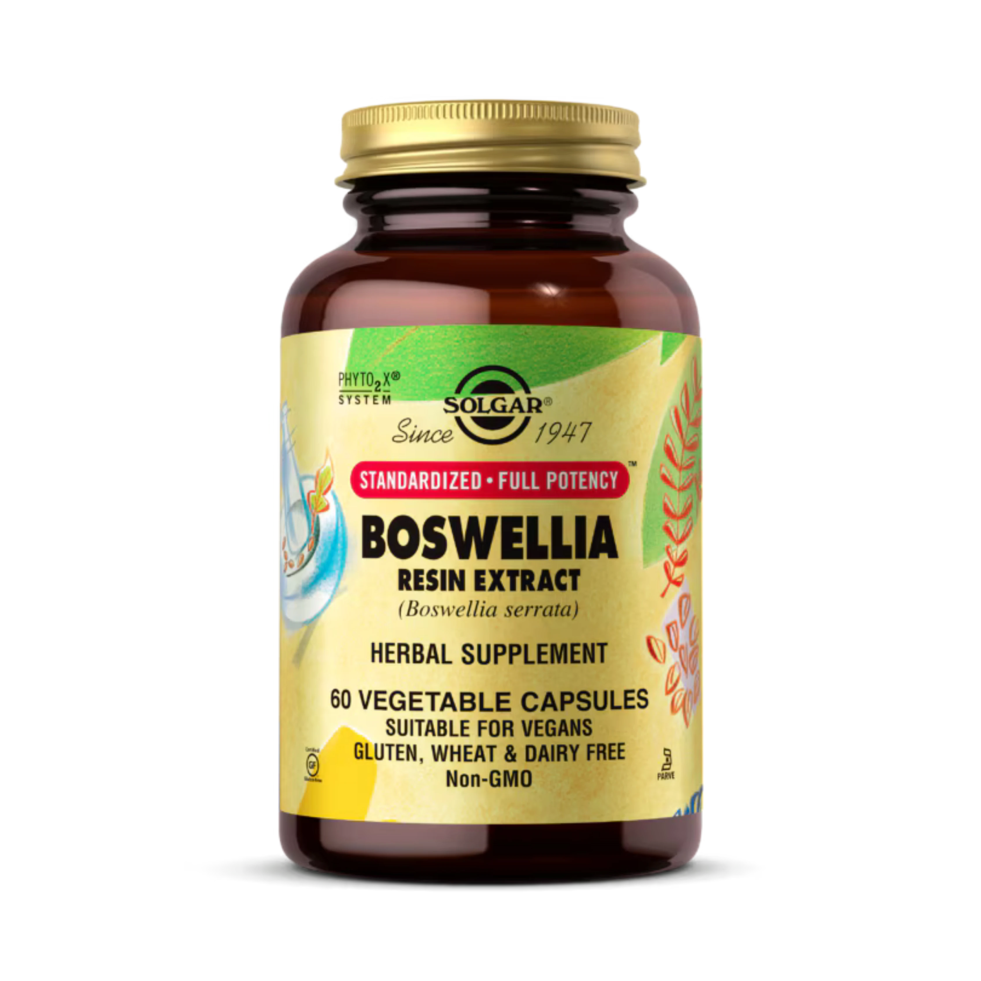 Solgar, Boswellia Resin Extract, 60 Vegetable Capsules