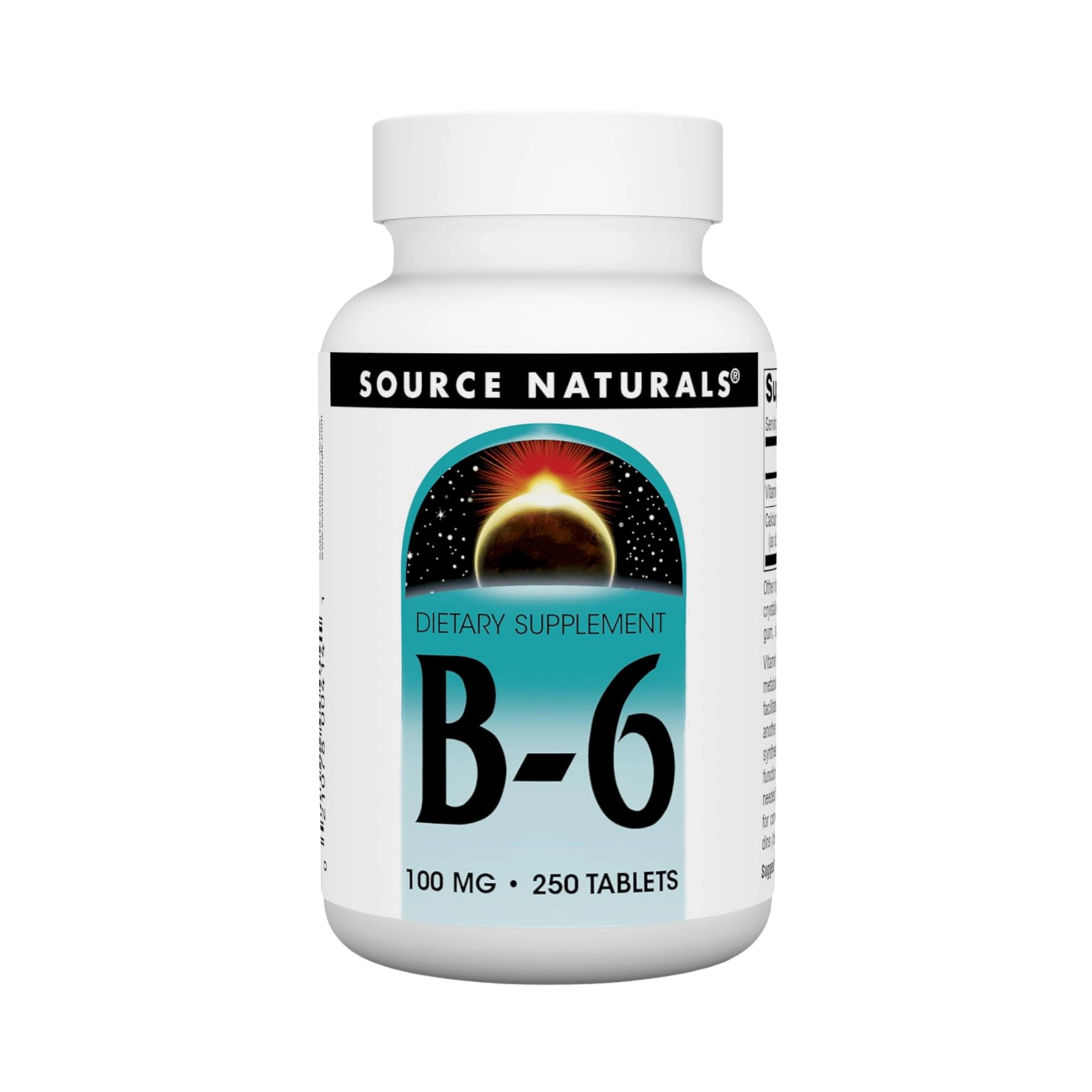 Source Naturals, B-6, 100 Mg, 250 Tablets