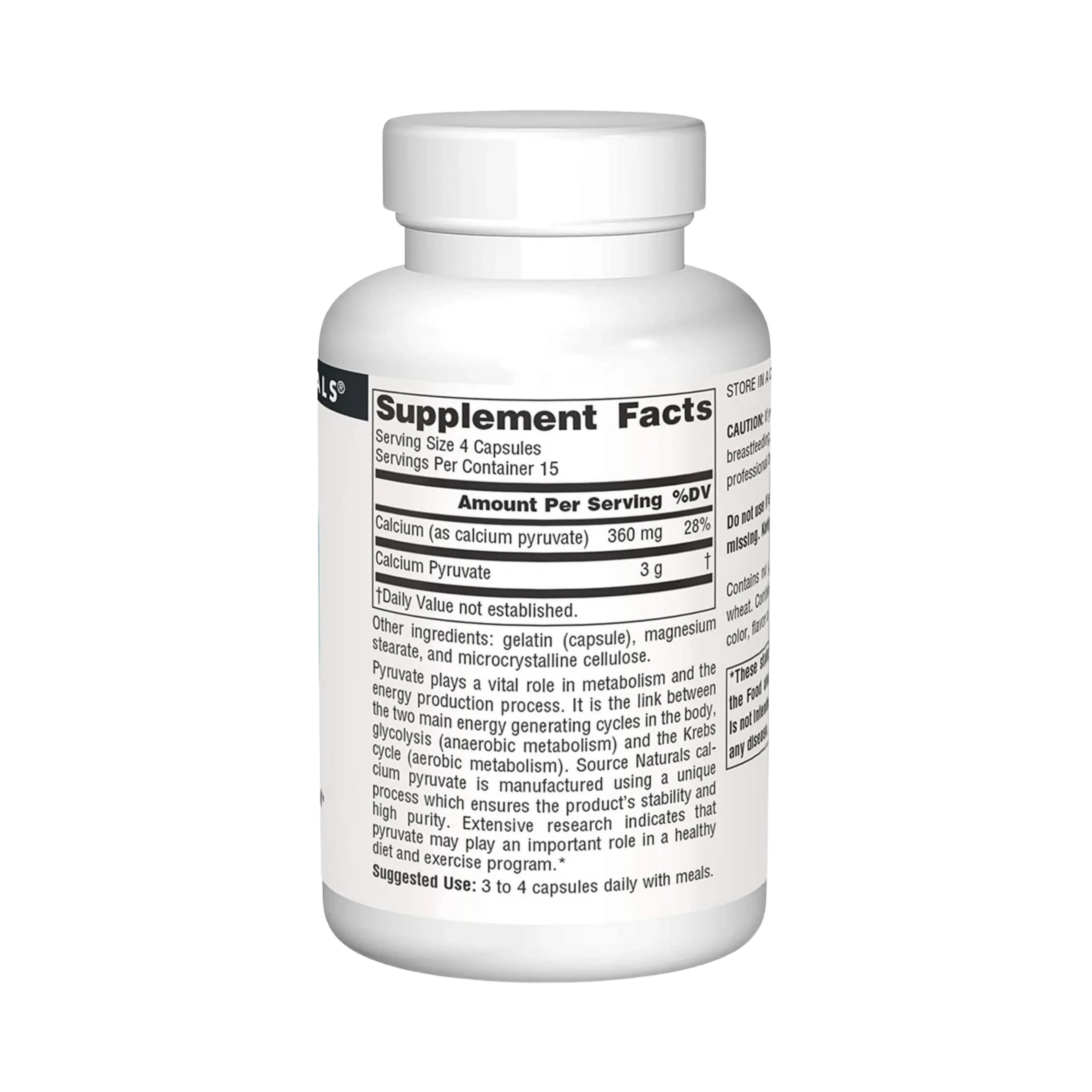 Source Naturals, Pyruvate Power, 750 Mg, 60 Capsules