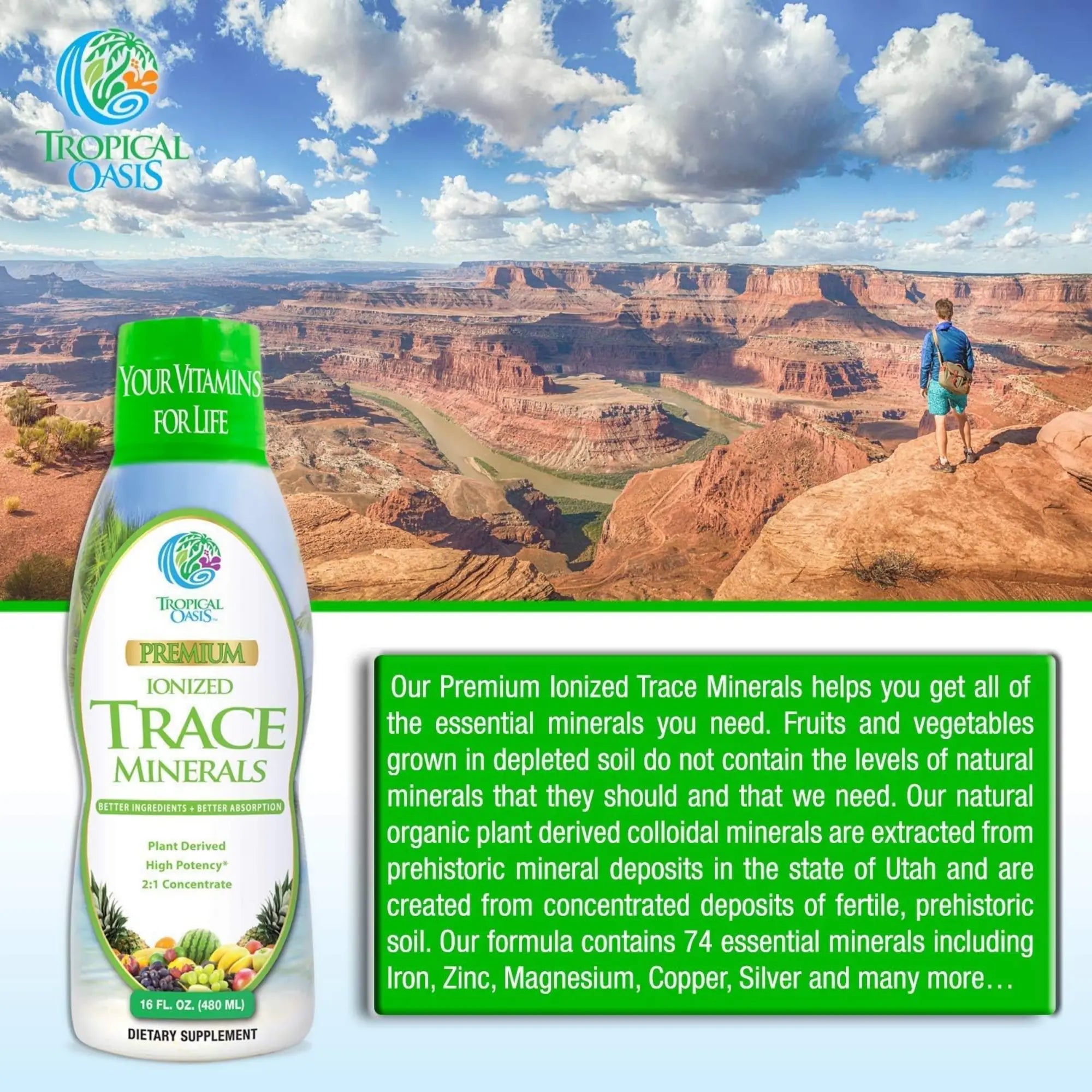 Tropical Oasis, Premium Ionized Trace Minerals, 16 fl oz, 480 ml