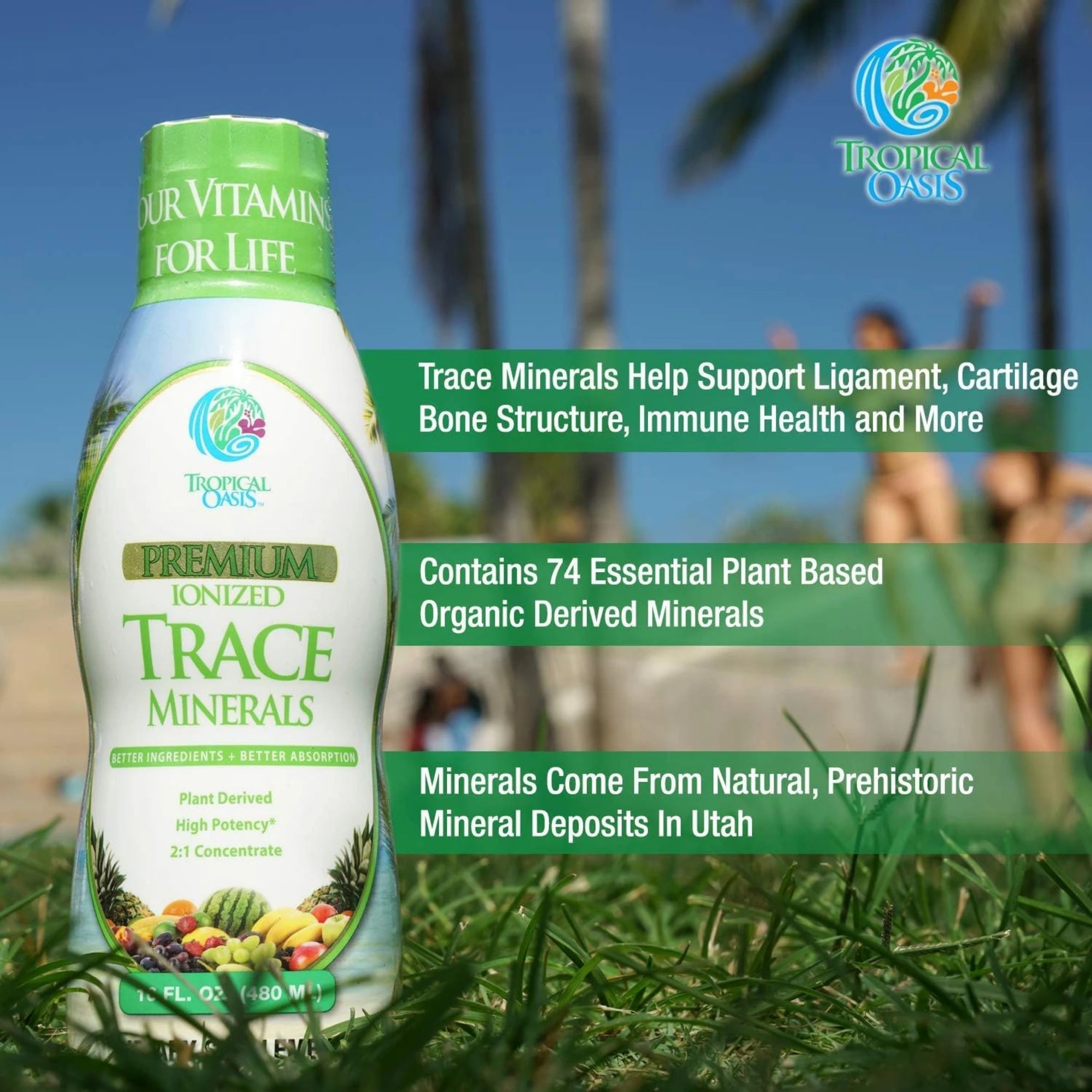 Tropical Oasis, Premium Ionized Trace Minerals, 16 fl oz, 480 ml