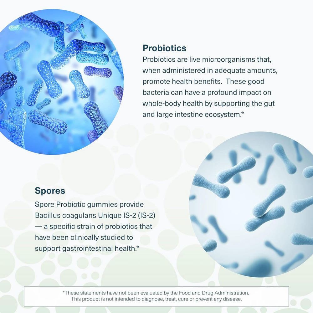 Youtheory, Spore Probiotic,  60 Gummies