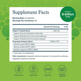 Youtheory, Spore Probiotic Advanced, 60 Vegetarian Capsules