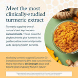 Youtheory, Turmeric Extra Strength, 1000 Mg, 60 Vegetarian Capsules