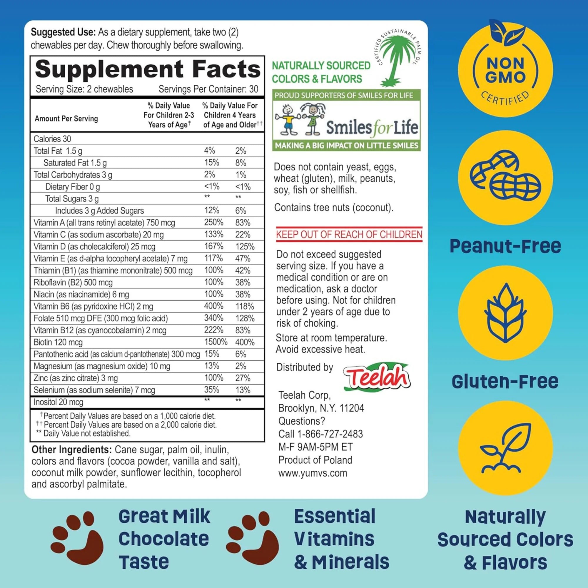 YumVs, Kids, Multi V with Multi-Mineral Formula, Milk Chocolate , 60 Bears