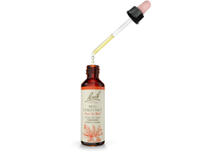 Bach, Original Flower Remedies, Red Chestnut, 20 Ml